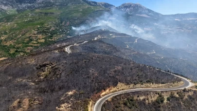 Alanya orman yangınında acı bilanço: 305 dekar alan küle döndü