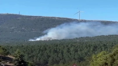 Muğla'da yangın ihbarı! Dumanlar gökyüzünü kapladı