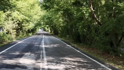 Ağaçların çevrelediği kara yolu görenleri hayran bırakıyor