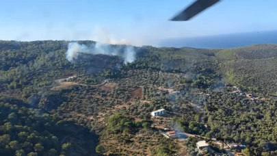 Antalya Kaş’ta korkutan orman yangını!