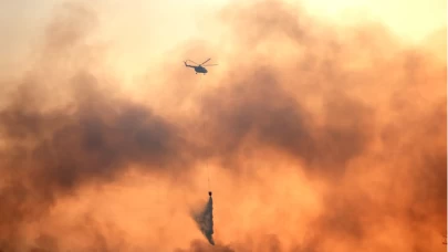 ABD’de orman yangınına müdahale eden helikopter düştü