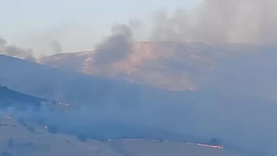 Malatya'da arazi yangını kontrol altına alındı!