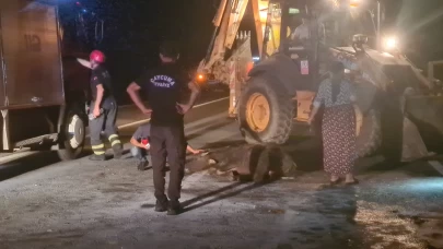 Zonguldak'ta yola fırlayan 3 mandaya çarpan araç savruldu