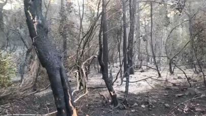 Marmaris’te orman yangınına yoğun müdahale: 17 saatte alevlerin enerjisi düşürüldü