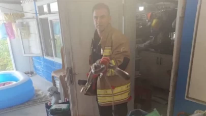 Havalar ısındı, yılanlar ortaya çıktı!