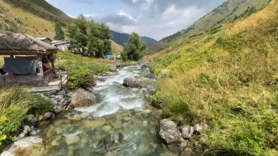 Kaçkar Dağları’nın eteğindeki Yaylalar köyüne yaz ilgisi