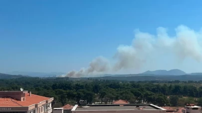 Çanakkale'de tarım arazisi ve merada yangın: Ekipler seferber oldu