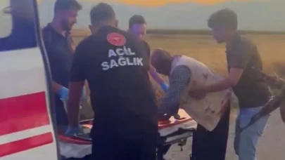 Hayvan otlatma tartışması sopalı kavgaya dönüştü