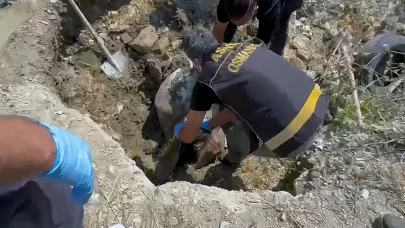 Ayşegül Yaşar’ın cansız bedeni ormanda bulundu