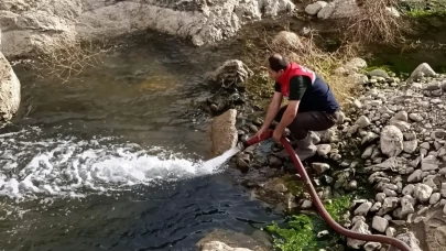 Nehil Sazlığı’nda kuraklık alarmı