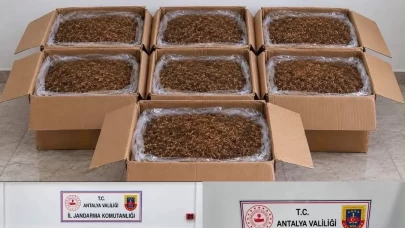 Antalya’da kaçak tütün operasyonu: 210 kilogram ele geçirildi