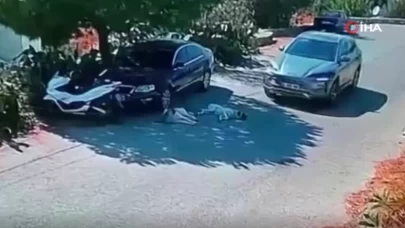 Bodrum’da otomobil 2 köpeğin üzerinden geçti!