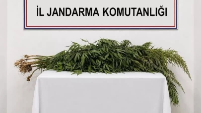 Boztepe’de iki adrese uyuşturucu operasyonu