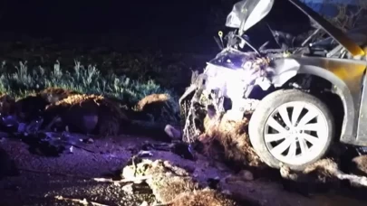 Şanlıurfa’da feci kaza!
