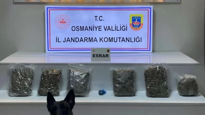 Osmaniye’de yayla evine uyuşturucu operasyonu: 3 tutuklama