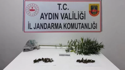 Söke’de uyuşturucu operasyonu: Esrar ve kenevir ele geçirildi