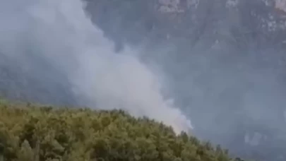 Hatay’da korkutan orman yangını: Ekipler seferber oldu