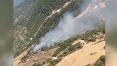 Bursa Orhaneli'de anız yangını ormana sıçradı!