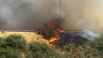 Aydın'da tarım arazisinde çıkan yangın, otoyolun diğer tarafına sıçradı