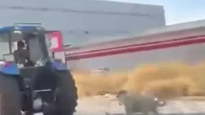 Diyarbakır’da vicdanları sızlatan görüntü!