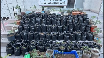 Eskişehir’de saksılarda kenevir yetiştiren şüpheli tutuklandı