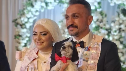 Damadın arkadaşı takı olarak av köpeği yavrusu taktı, davetliler şoke oldu!