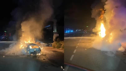 Büyükbaş taşıyan tır ve otomobil çarpışarak alev topuna döndü!