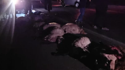 Bitlis’te hafif ticari araç koyun sürüsüne daldı