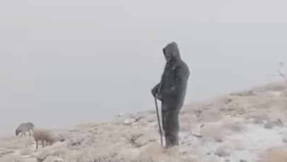 Tunceli’de kış erken geldi! Çoban koyunlarını kar altında otlattı