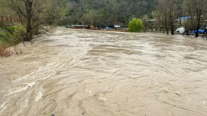 Tunceli'de dev debiler korkuttu