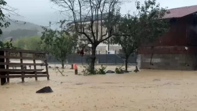 Sakarya’da felaketin bilançosu artıyor! Kocaali’de 60 bin tavuk telef oldu