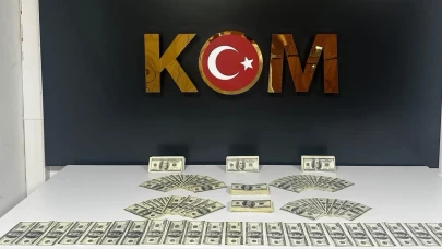 Bodrum'da 46 bin 200 sahte dolar ele geçirildi