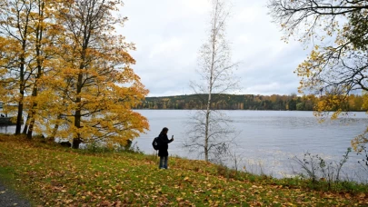 Tampere kent sakinleri bu manzaranın tadını çıkarıyor