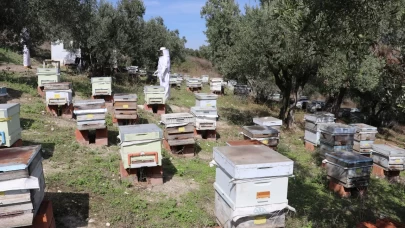 Altı yıllık teknoloji deneyimini arıcılıkla buluşturdu
