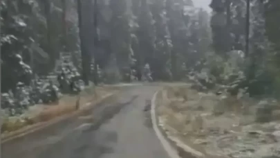 Kastamonu'nun yüksek kesimlerine kar yağdı: Fındıklı Yaylası beyaza büründü!