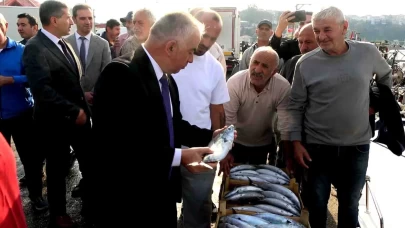 Şile’de palamut bereketi! Kasası 600 liradan alıcı buldu