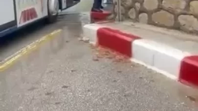 Elazığ’da şemsiyeli kavga kamerada! Otobüs şoförüne peş peşe vurdu