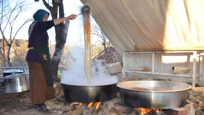 Bronşit ve astımın ilacı! Kozalaklardan yapılan pekmeze talep yağıyor