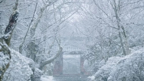Türkiye’nin bazı yüksek kesimleri kar beyaza büründü