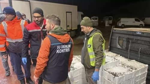 615 kilo istavrite el konuldu