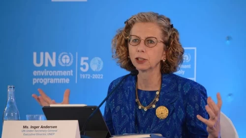 BM direktöründen iş birliği mesajı