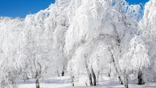 En sert soğuklar için kritik tarihler