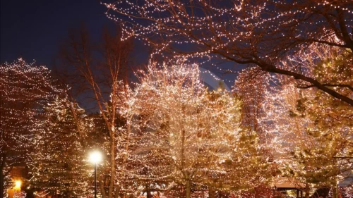 Yılbaşı gecesi için korkunç plan! Kanlı senaryo son anda bozuldu