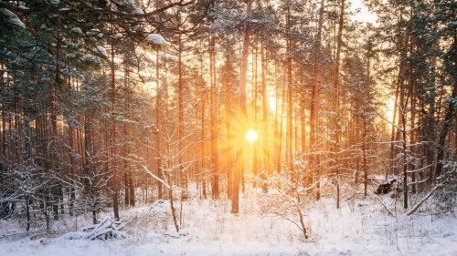 Meteoroloji uyardı: Bir yanda bahar havası, bir yanda kar ve don tehlikesi