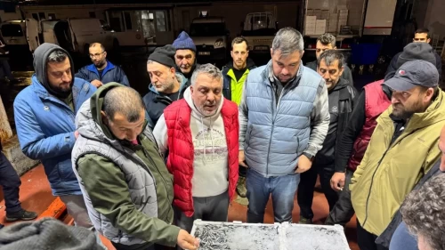 Balık hallerinde büyük tablo! Satışların yarısı tek türden çıktı