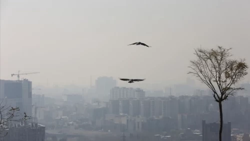 Artan hava kirliliği Tahran’da futbolu durdurdu