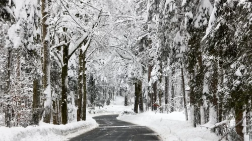 Doğu’da görüş mesafesi 30 metreye düştü! Sis ve buzlanma hayatı felç etti