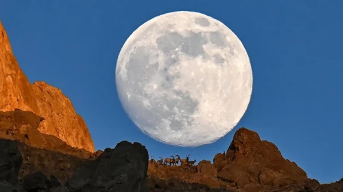 Dolunay yaban keçileriyle zirvede buluştu