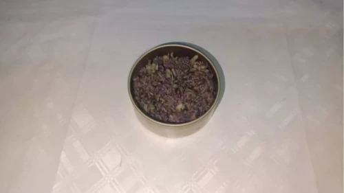 Yurt dışına kaçırmaya çalıştı