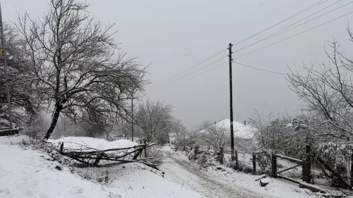 Samsun'un Kızlan Yaylası'nda kar etkili oldu